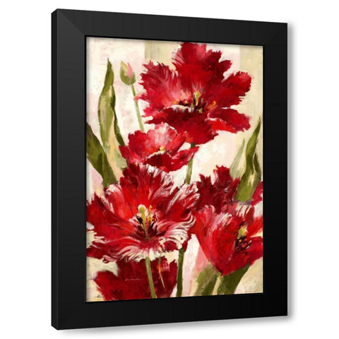 Jubilant Red Tulip Black Modern Wood Framed Art Print with Double Matting by Heighton, Brent