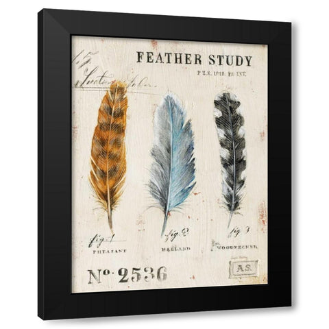 Natures Feathers Black Modern Wood Framed Art Print by Staehling, Angela