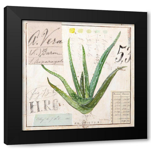 Aloe Vera-Sketchbook Black Modern Wood Framed Art Print with Double Matting by Staehling, Angela