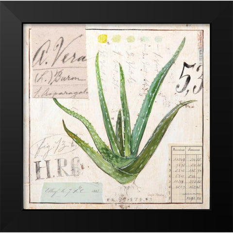 Aloe Vera-Sketchbook Black Modern Wood Framed Art Print by Staehling, Angela