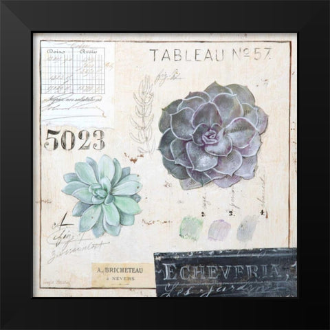 Echeveria-Sketchbook Black Modern Wood Framed Art Print by Staehling, Angela