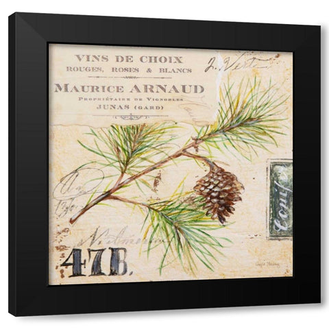 Fir Branch-Sketchbook Black Modern Wood Framed Art Print with Double Matting by Staehling, Angela