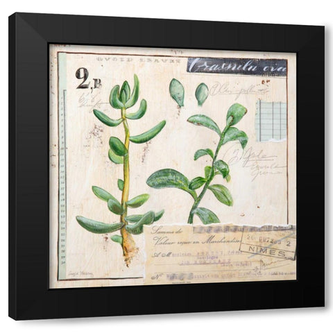 Jade-Sketchbook Black Modern Wood Framed Art Print by Staehling, Angela