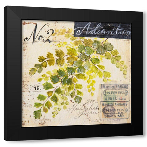Maidenhair Fern-Sketchbook Black Modern Wood Framed Art Print with Double Matting by Staehling, Angela