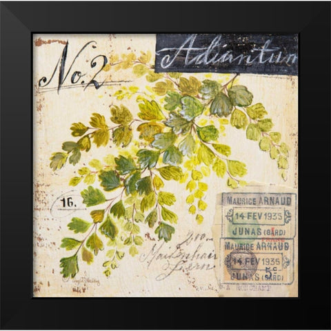 Maidenhair Fern-Sketchbook Black Modern Wood Framed Art Print by Staehling, Angela