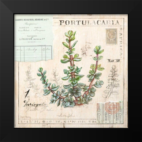Portulacaria-Sketchbook Black Modern Wood Framed Art Print by Staehling, Angela