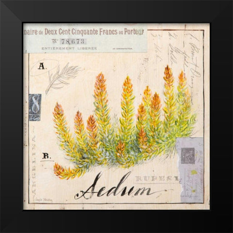 Sedium-Sketchbook Black Modern Wood Framed Art Print by Staehling, Angela