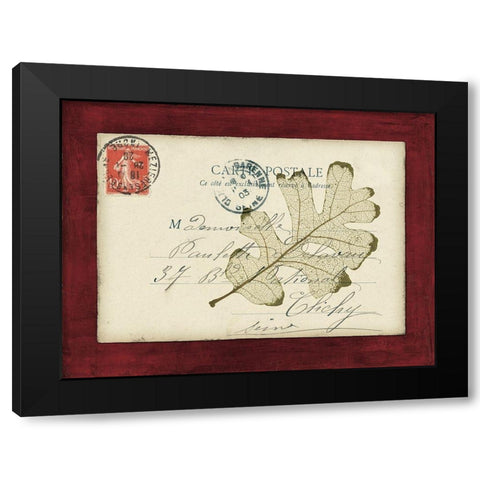 Rose Leaf Envelope Black Modern Wood Framed Art Print with Double Matting by Morey, Booker