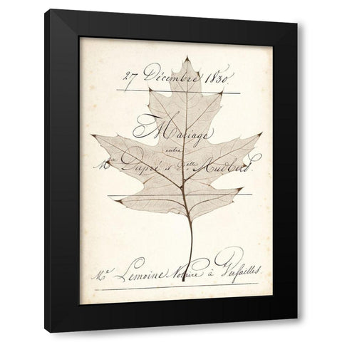 Birch Document Black Modern Wood Framed Art Print with Double Matting by Morey, Booker