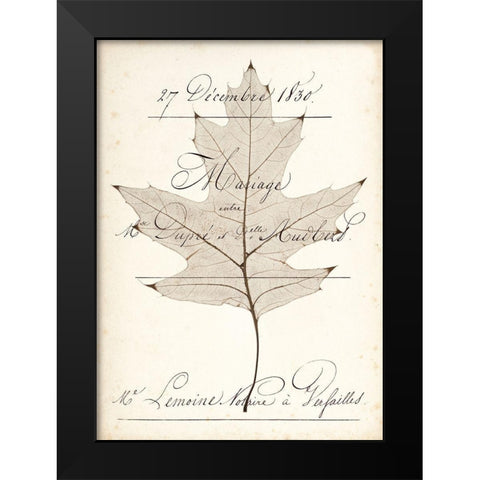 Birch Document Black Modern Wood Framed Art Print by Morey, Booker