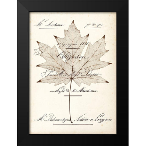 Maple Document Black Modern Wood Framed Art Print by Morey, Booker