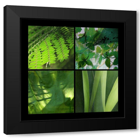Fresh Green Black Modern Wood Framed Art Print by Rauscher, Michel