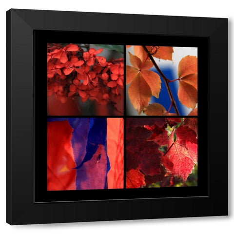 Red Autumn Black Modern Wood Framed Art Print with Double Matting by Rauscher, Michel