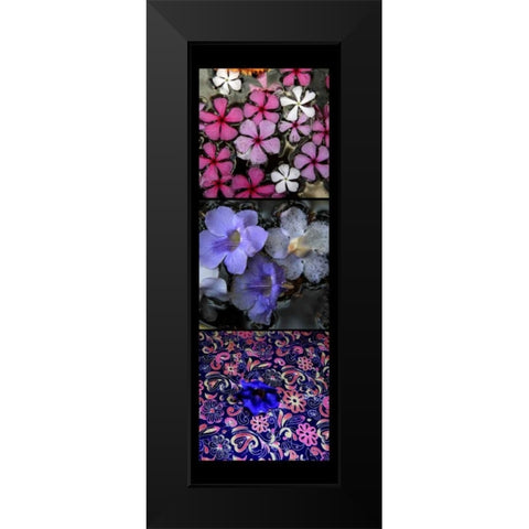 Floral Pond Black Modern Wood Framed Art Print by Rauscher, Michel