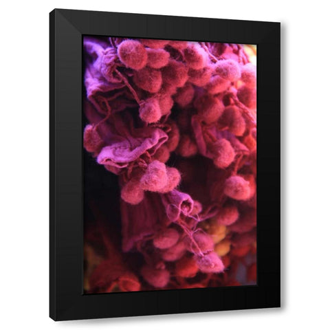 Global Pinks 1 Black Modern Wood Framed Art Print by Rauscher, Michel