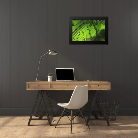 Fresh Green 1 Black Modern Wood Framed Art Print by Rauscher, Michel