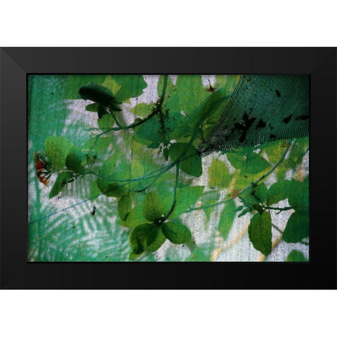 Fresh Green 2 Black Modern Wood Framed Art Print by Rauscher, Michel