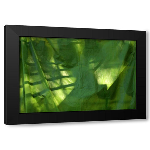 Fresh Green 3 Black Modern Wood Framed Art Print by Rauscher, Michel