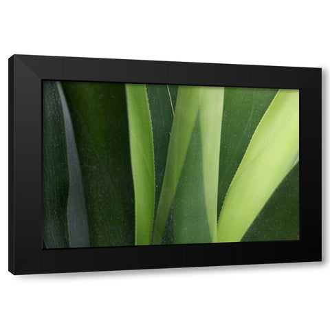 Fresh Green 4 Black Modern Wood Framed Art Print with Double Matting by Rauscher, Michel