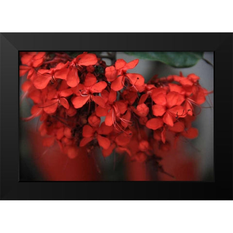 Red Autumn 1 Black Modern Wood Framed Art Print by Rauscher, Michel