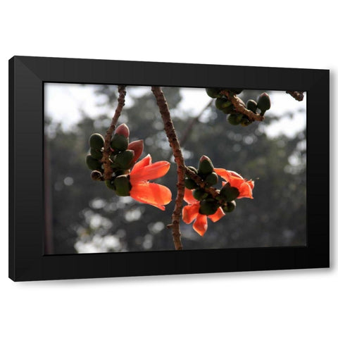 Global Vessel 1 Black Modern Wood Framed Art Print by Rauscher, Michel