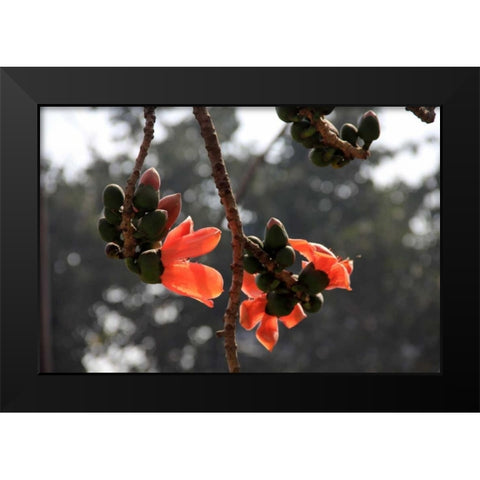 Global Vessel 1 Black Modern Wood Framed Art Print by Rauscher, Michel