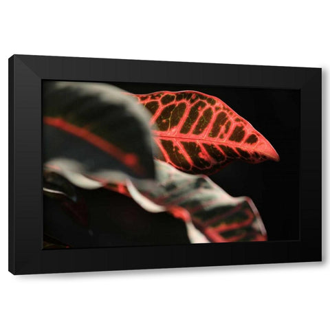 Global Vessel 4 Black Modern Wood Framed Art Print by Rauscher, Michel