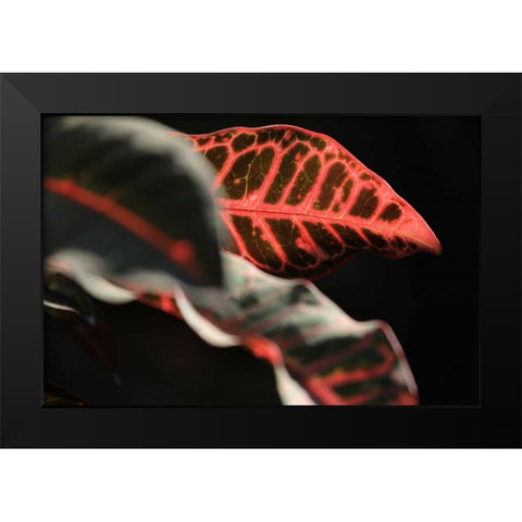 Global Vessel 4 Black Modern Wood Framed Art Print by Rauscher, Michel