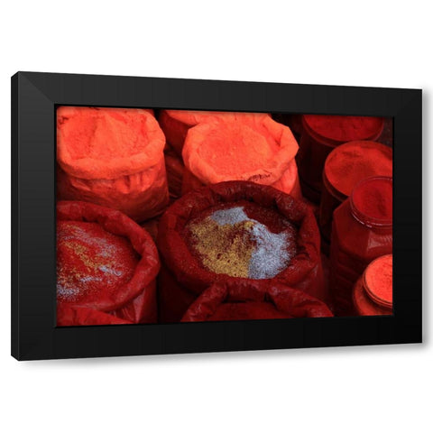Global Spice 3 Black Modern Wood Framed Art Print by Rauscher, Michel