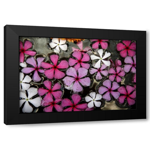 Floral Pond 1 Black Modern Wood Framed Art Print with Double Matting by Rauscher, Michel