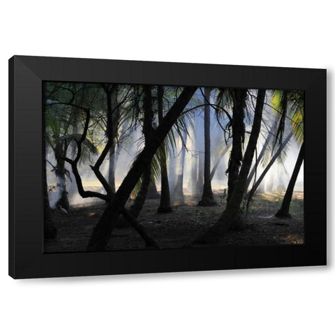 Sunset Enchantment 1 Black Modern Wood Framed Art Print by Rauscher, Michel
