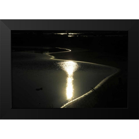 Moonlight Enchantment 2 Black Modern Wood Framed Art Print by Rauscher, Michel