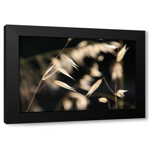 Moonlight Enchantment 3 Black Modern Wood Framed Art Print with Double Matting by Rauscher, Michel