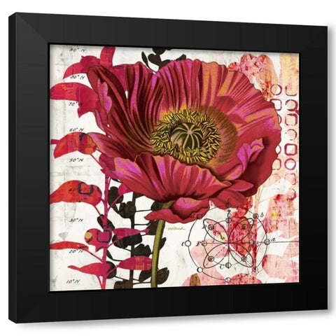 Red Poppy Story   Black Modern Wood Framed Art Print by Pluch, Melissa