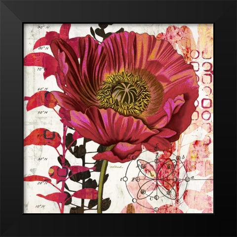 Red Poppy Story   Black Modern Wood Framed Art Print by Pluch, Melissa