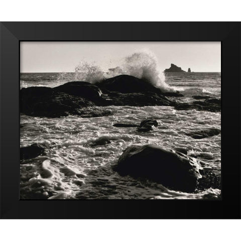 Roar of the Ocean Black Modern Wood Framed Art Print by Aniballi, Brett