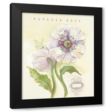 Claires Garden Poppy Black Modern Wood Framed Art Print with Double Matting by Della-Piana, Elissa