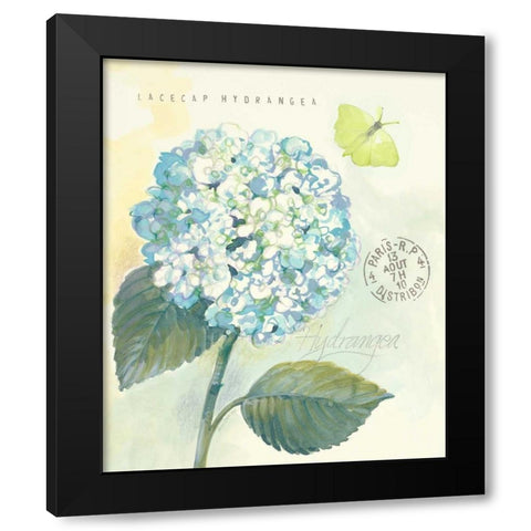 Claires Garden Hydrangea Black Modern Wood Framed Art Print with Double Matting by Della-Piana, Elissa