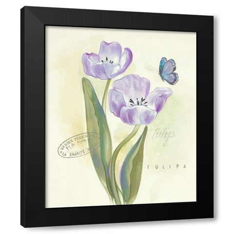 Claires Garden Tulip  Black Modern Wood Framed Art Print with Double Matting by Della-Piana, Elissa