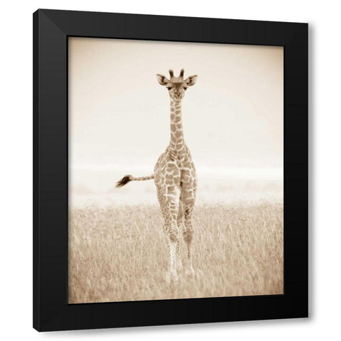 Spirit of Life 2 Black Modern Wood Framed Art Print with Double Matting by Parker Nature Photography, Frank and Susann