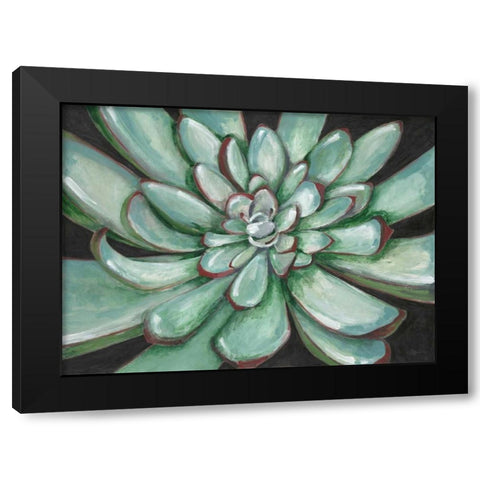 Desert Succulent Black Modern Wood Framed Art Print with Double Matting by Ioco, Filippo