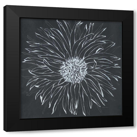 Chalk Bloom 1 Black Modern Wood Framed Art Print with Double Matting by Adams, Connor