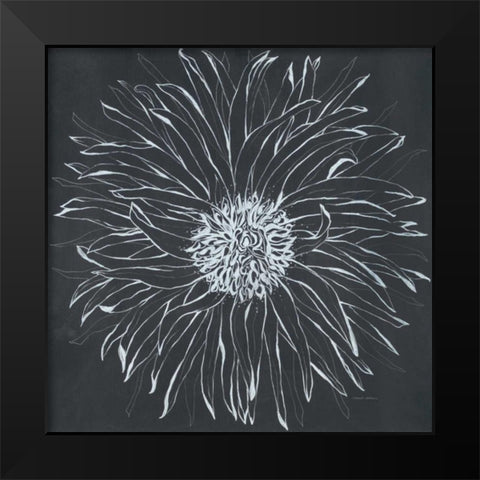 Chalk Bloom 1 Black Modern Wood Framed Art Print by Adams, Connor