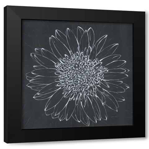 Chalk Bloom 2 Black Modern Wood Framed Art Print with Double Matting by Adams, Connor