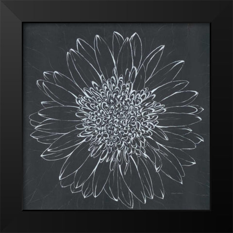 Chalk Bloom 2 Black Modern Wood Framed Art Print by Adams, Connor