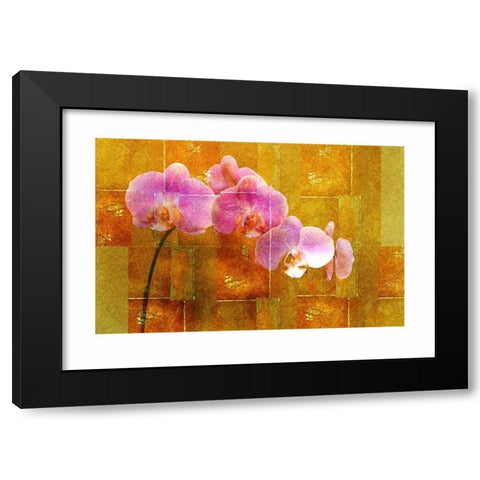 Sheer Pink Orhcid Black Modern Wood Framed Art Print by Robertson, Walter