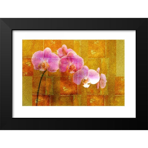 Sheer Pink Orhcid Black Modern Wood Framed Art Print by Robertson, Walter