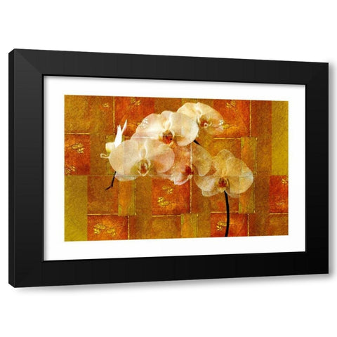Sheer White Orchid Black Modern Wood Framed Art Print with Double Matting by Robertson, Walter