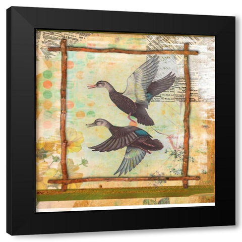 Duck Nature Black Modern Wood Framed Art Print with Double Matting by Robertson, Walter
