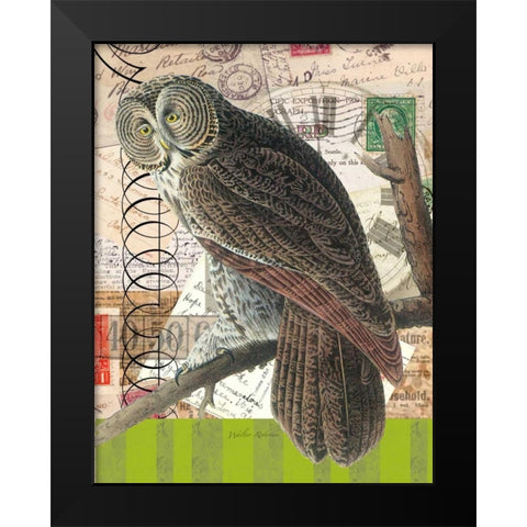 Curious Owl 1 Black Modern Wood Framed Art Print by Robertson, Walter